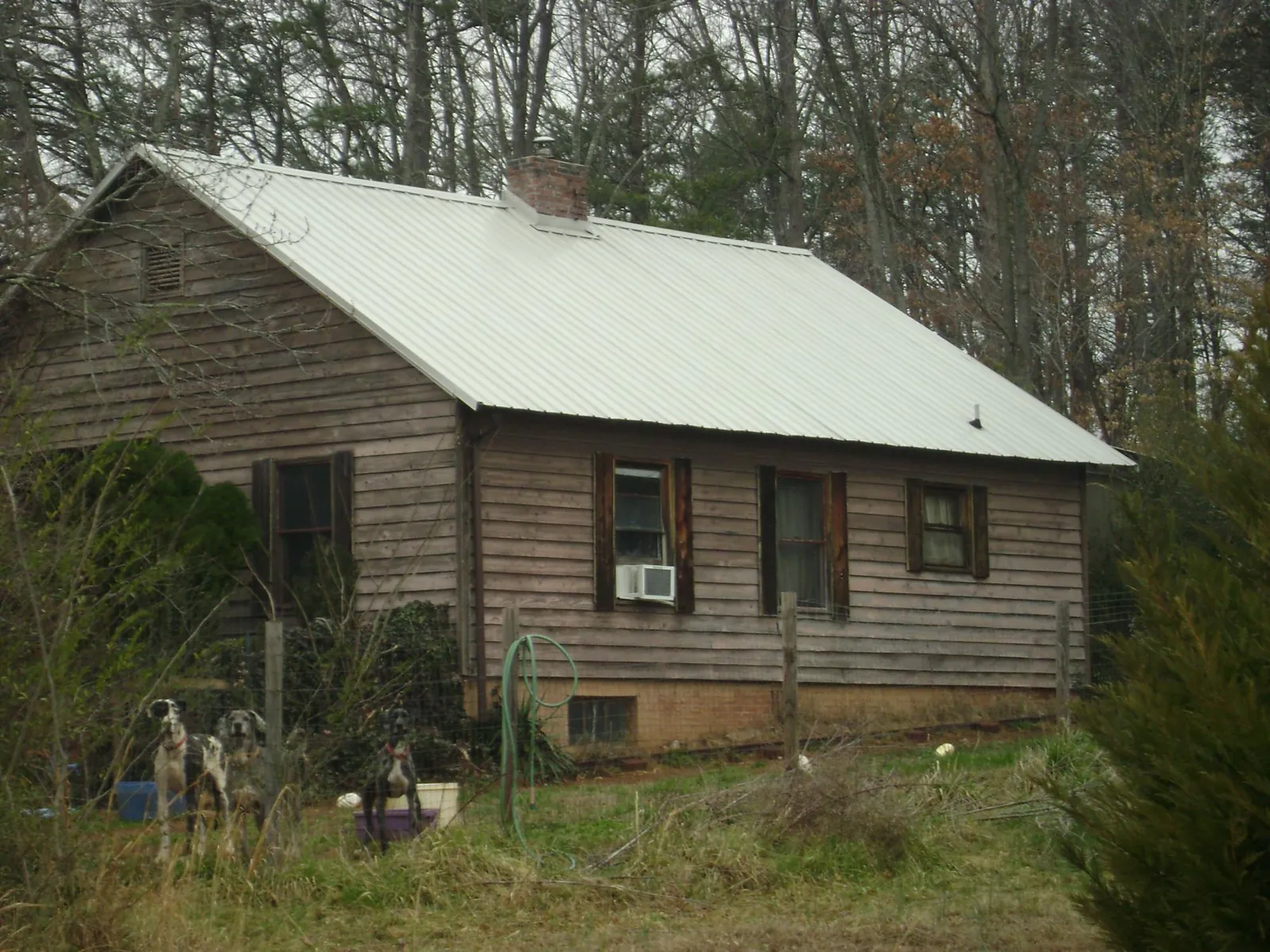 White metal roof on an old wood sided farmhouse, from a Asphalt Shingle Roof Repair job in Ethel